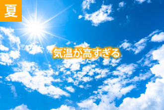 夏 気温が高すぎる