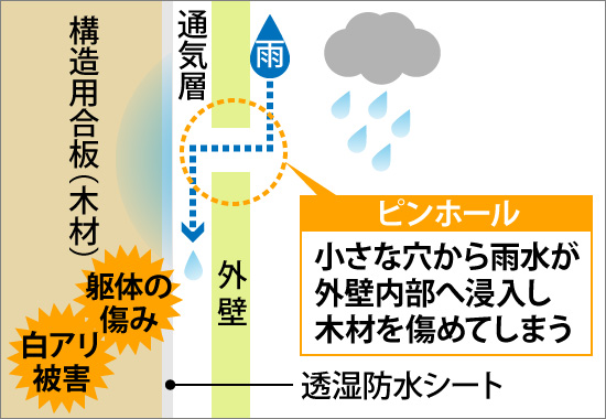 小さな穴から雨水が外壁内部へ侵入し木材を傷めてしまう