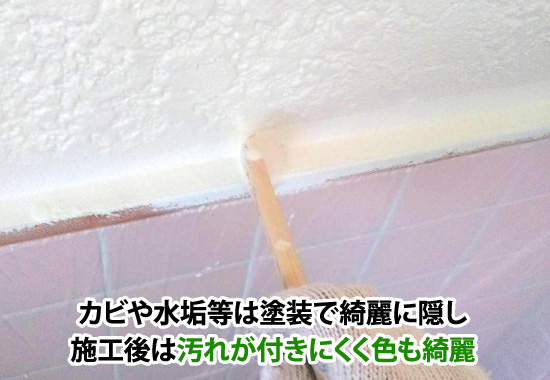 カビや水垢等は塗装で綺麗に隠し施工後は汚れが付きにくく色も綺麗