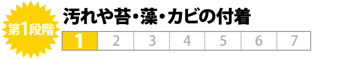 第１段階　汚れや苔・藻・カビの付着