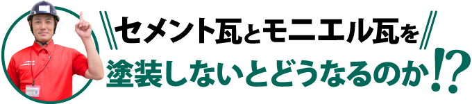 セメント瓦とモニエル瓦を塗装しないとどうなるか