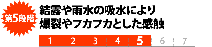 第５段階　結露や雨水の吸水により 爆裂やフカフカとした感触
