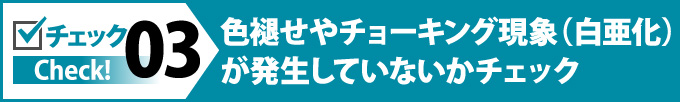 色褪せやチョーキング現象（白亜化）が発生していないかチェック