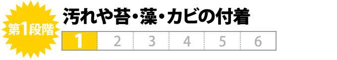 第1段階 汚れや苔・藻・カビの付着