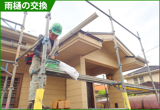 雨樋の交換