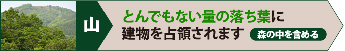 山は、とんでもない量の落ち葉に建物を占領されます