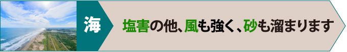 海は、塩害の他、風も強く、砂も溜まります