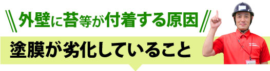 塗膜が劣化していること