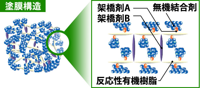 塗膜構造