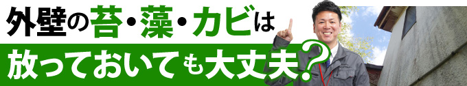 外壁の苔・藻・カビは放っておいても大丈夫？