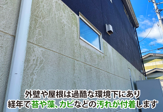 外壁や屋根は過酷な環境下にあり経年で苔や藻、カビなどの汚れが付着します