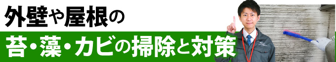 外壁や屋根の苔・藻・カビの掃除と対策