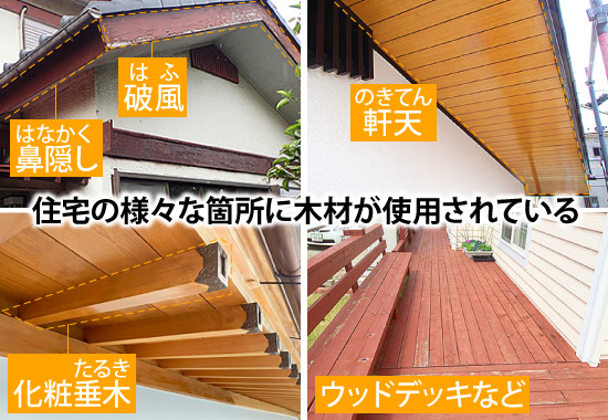 住宅の様々な箇所に木材が使用されている