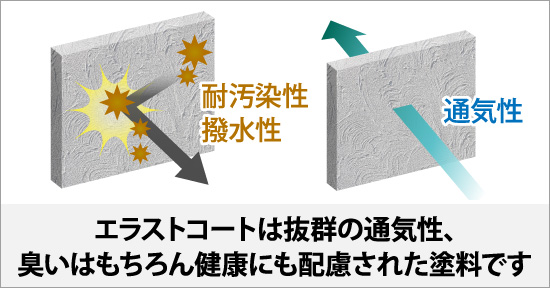 エラストコートは抜群の通気性、臭いはもちろん健康にも配慮された塗料です