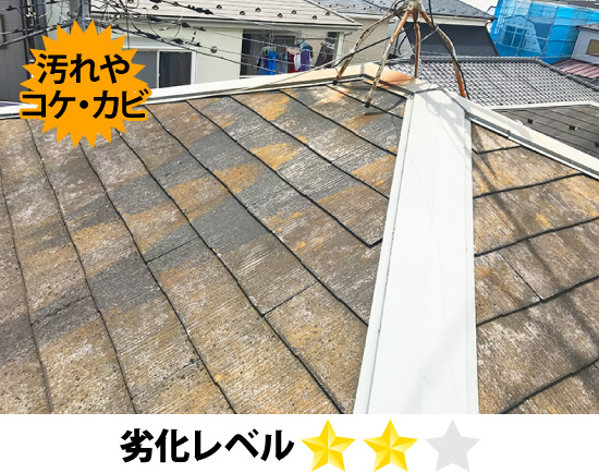 汚れがひどい屋根