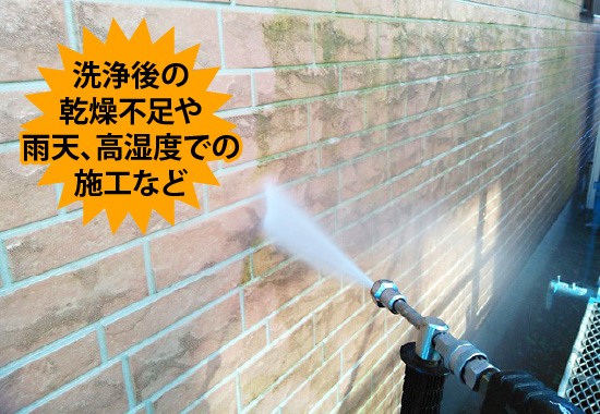 洗浄後の乾燥不足や雨天、高湿度での施工など