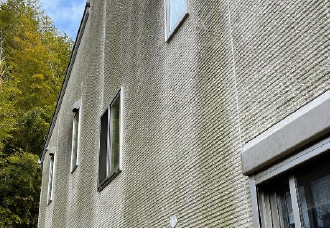 苔やカビで汚れた白いサイディング外壁