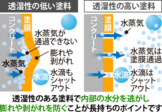 透湿性のある塗料で内部の水分を逃がし膨れや剥がれを防ぐことが長持ちのポイントです