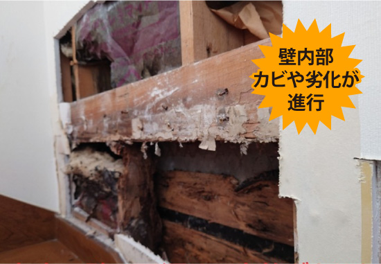 壁内部カビや劣化が進行