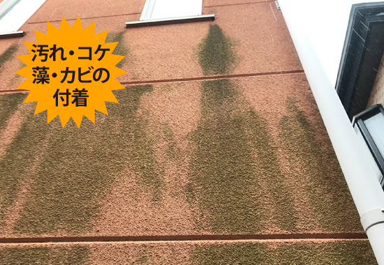 汚れ・コケ・藻・カビの付着