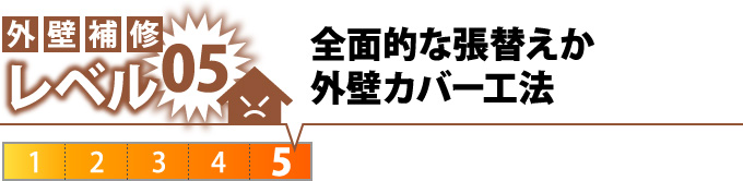 全面的な張替えか外壁カバー工法