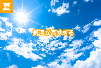 夏_気温が高すぎる