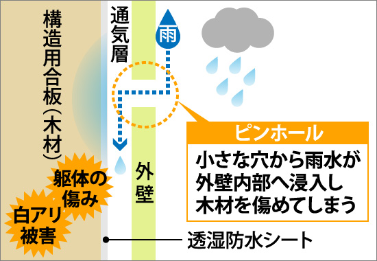 ピンホールの小さな穴から雨水が外壁内部へ浸入し木材を傷める