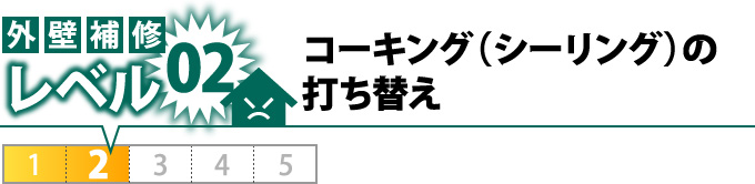 コーキング（シーリング）の 打ち替え