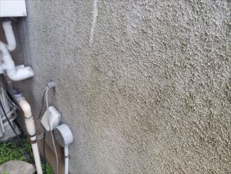 防水性が低下しモルタル外壁に苔が発生