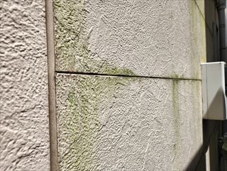 板橋区赤塚にて防水性が低下し苔が発生しているサイディング外壁のメンテナンスのご相談