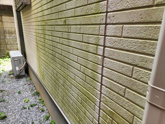 葛飾区東水元にてサイディング外壁の防水性の低下により苔が発生 外壁塗装工事をご提案 東京の外壁塗装 屋根塗装 塗り替えは街の外壁塗装やさん東東京店へ 葛飾区東水元にてサイディング外壁の防水性の低下により苔が発生 外壁塗装工事をご提案 東京の外壁塗装 屋根塗装 塗り替えは街の外壁塗装やさん東東京店へ