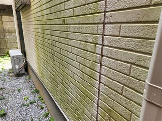 葛飾区東水元にてサイディング外壁の防水性の低下により苔が発生、外壁塗装工事をご提案
