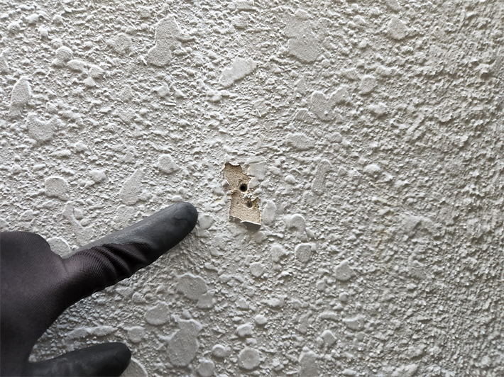 モルタル外壁の塗膜の剥がれ