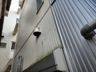 サイディングの防水性の低下により苔が発生