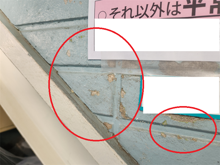塗膜の剥がれによりサイディングの素地が露出