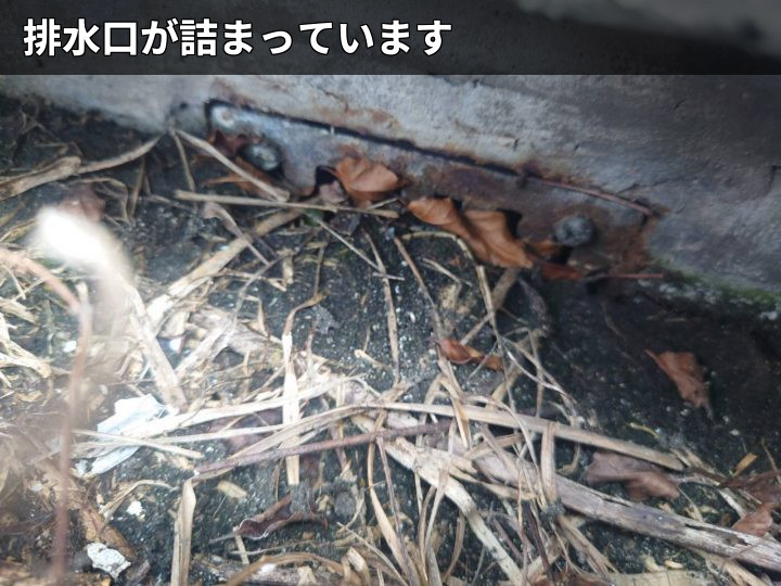 排水口の詰まり状況