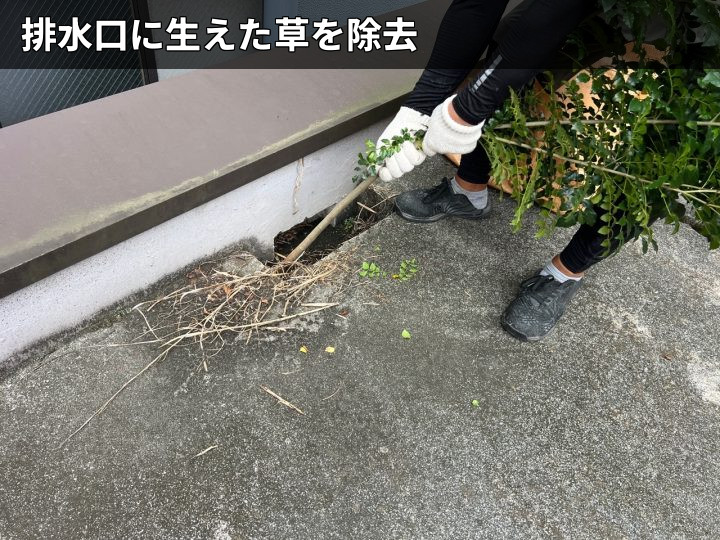 排水口の草を除去中