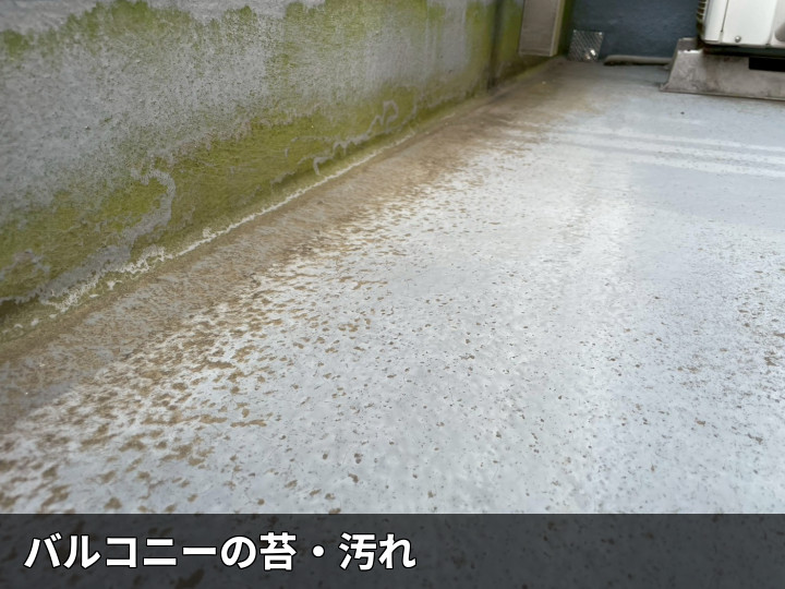 バルコニーの苔汚れ