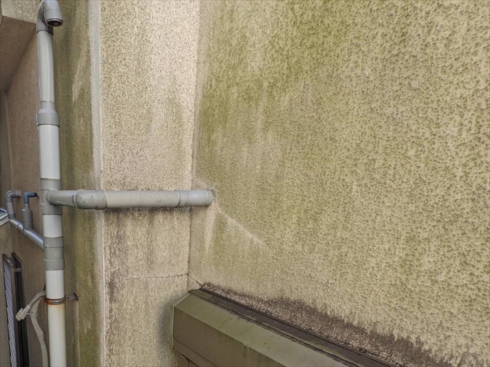 目黒区中央町にて外壁の点検、塗膜が劣化して苔などが発生しておりました