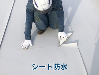 シート防水