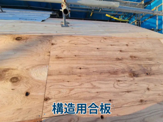 構造用合板
