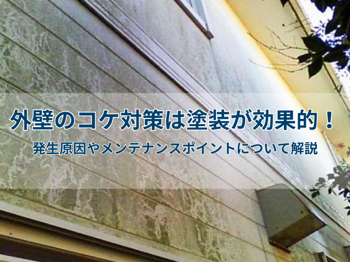外壁のコケ対策は塗装が効果的！発生原因やメンテナンスポイントについて解説