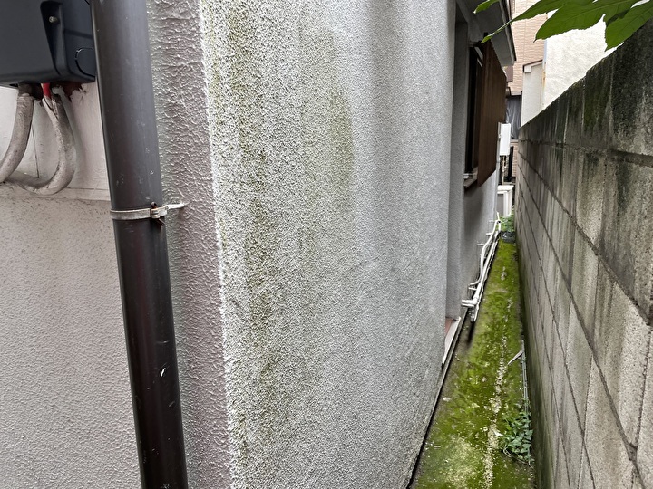 建物裏面には苔や汚れの付着が発生