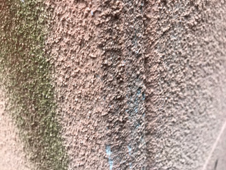 外壁の防水性が低下し、苔が発生