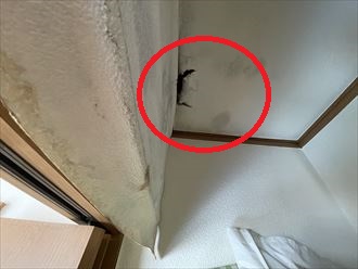 天井に穴開き