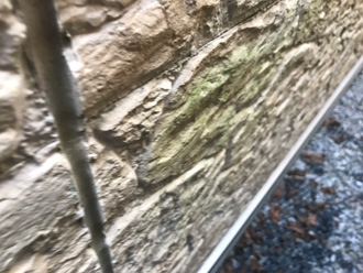 塗膜の劣化により防水性が低下した外壁
