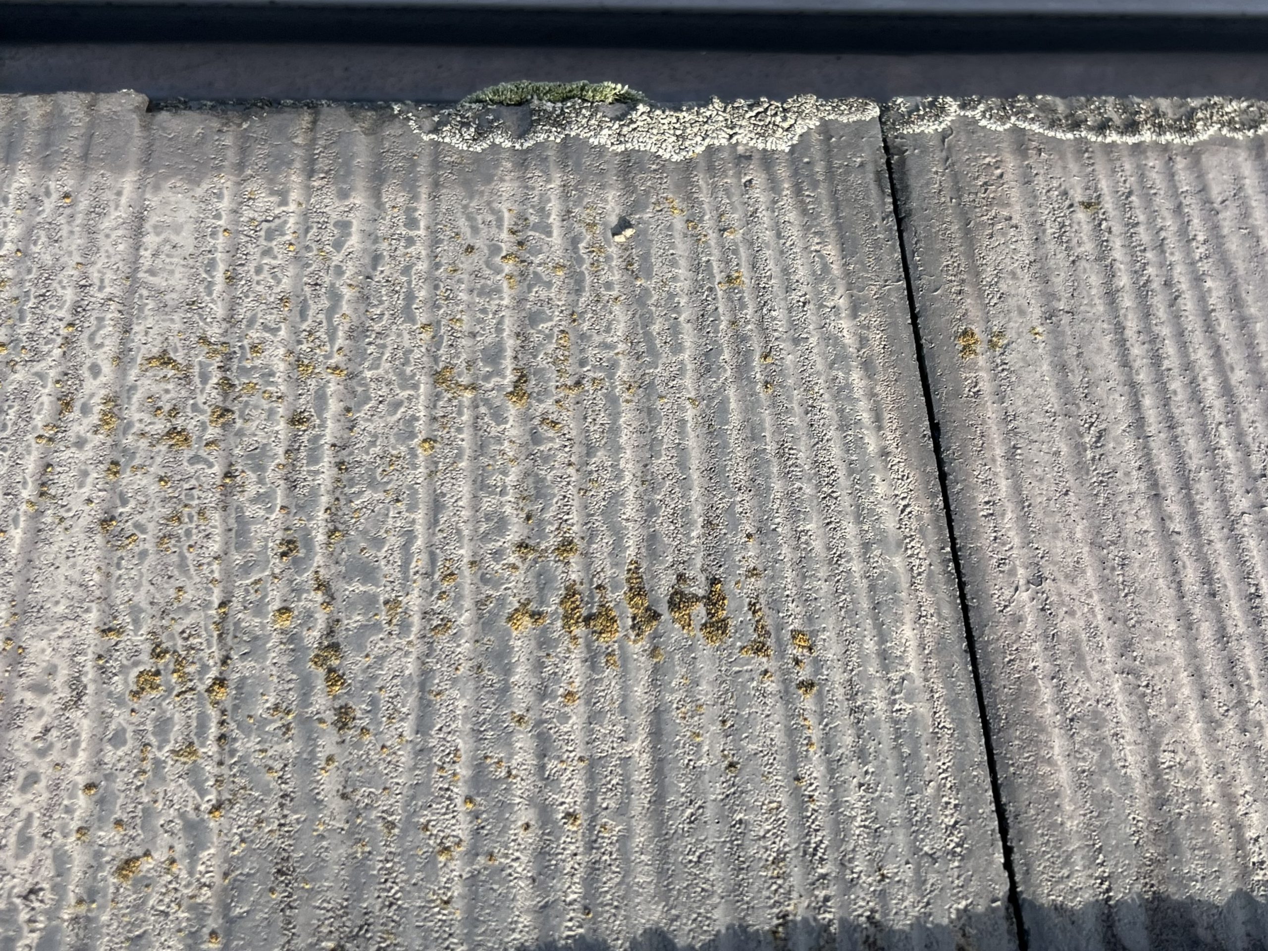 屋根材に藻やカビの発生