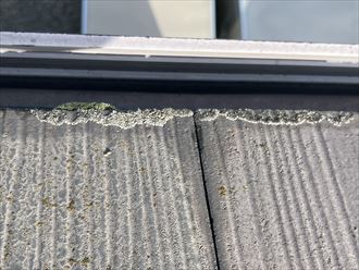 板橋区栄町にて行った無料の屋根・外壁調査！屋根に藻・カビの発生、外壁にチョーキング現象が見られましたので、屋根・外壁塗装工事をご提案(^^♪