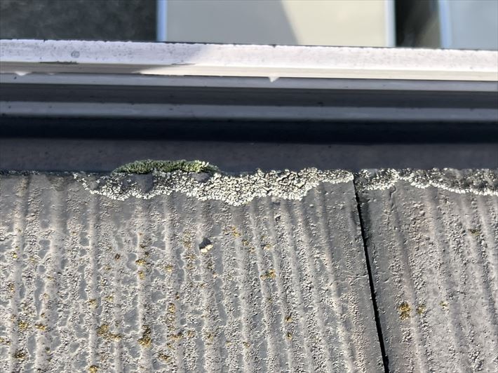 屋根に藻・カビの発生