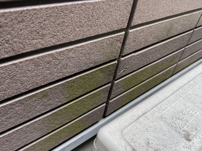 外壁に苔の発生
